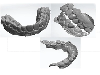 Submission of Digital Scans